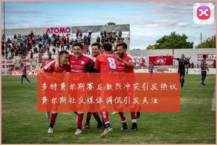 多特费尔斯赛后激烈冲突引发热议费尔斯社交媒体调侃引发关注